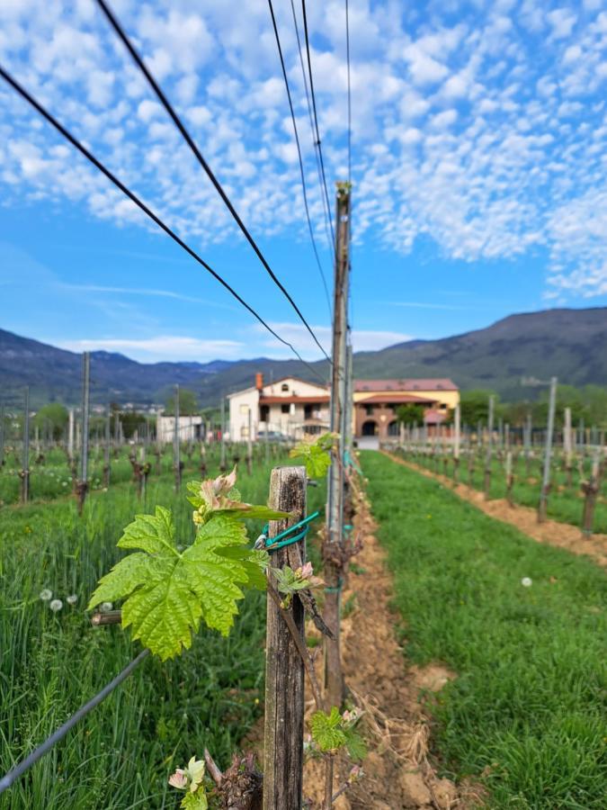 Posestvo Rouna - Winery And Apartments Vipava Ngoại thất bức ảnh