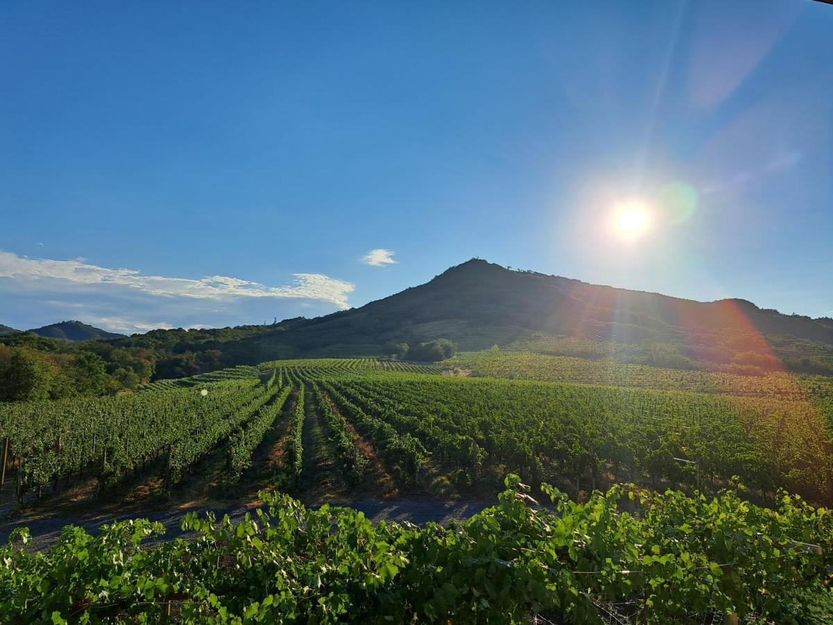 Posestvo Rouna - Winery And Apartments Vipava Ngoại thất bức ảnh